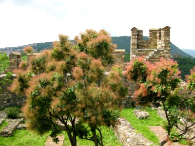 Fortress-watchtower