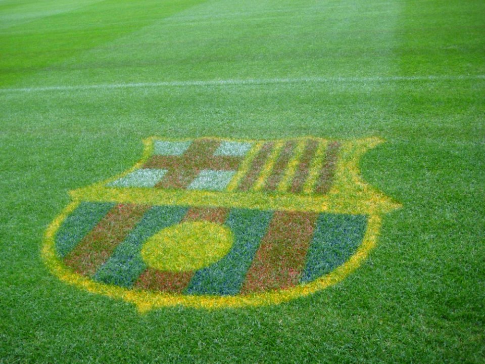 Fc-barcelona-emblem-on-stadium-turf