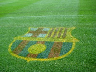 Fc-barcelona-emblem-on-stadium-turf