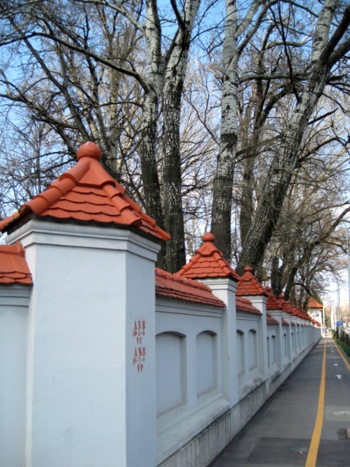 Cotroceni-wall