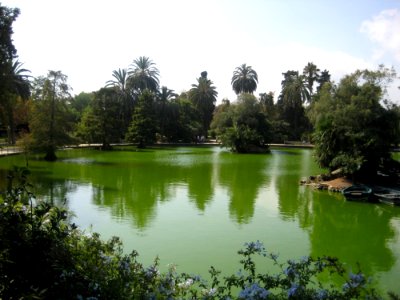 City-park-pond photo