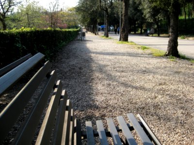 Bench-in-villa-borghese-park