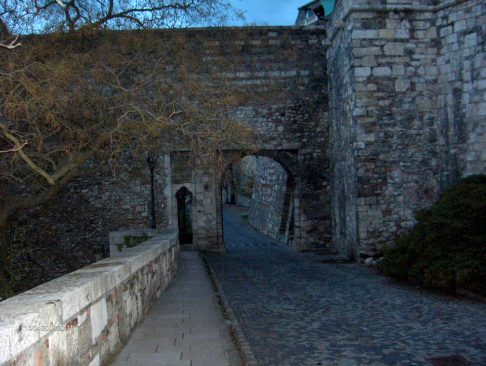 Access-road-to-the-royal-palace