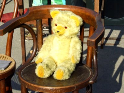 Yellow-teddy-bear-on-chair