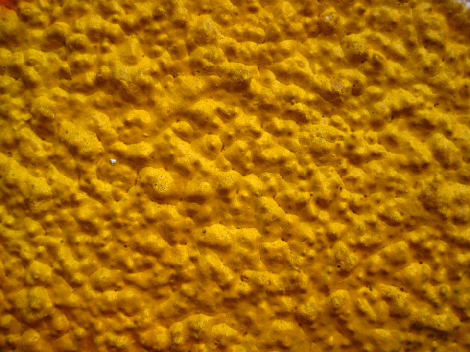 Yellow-painted-wall