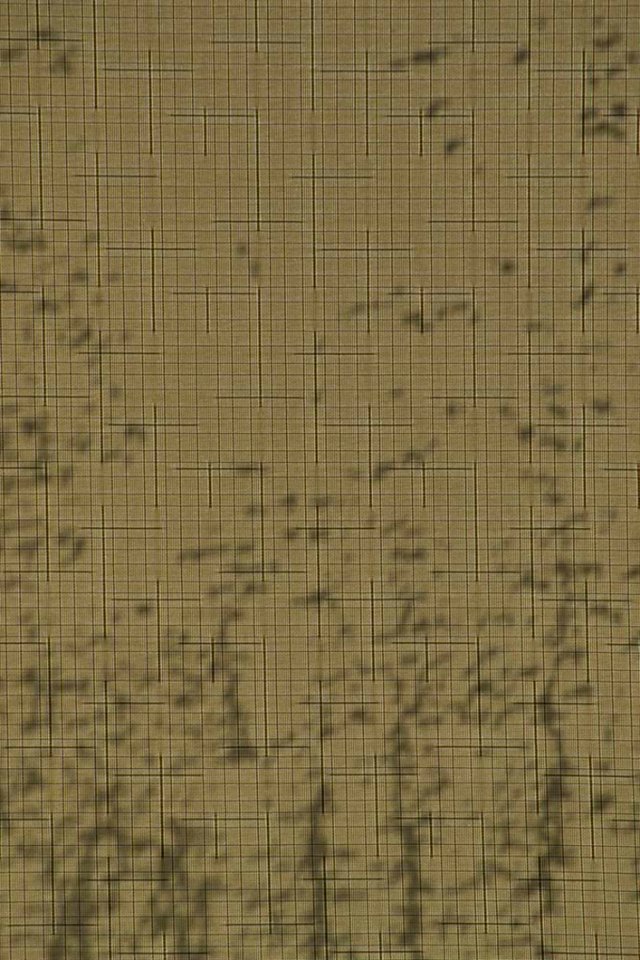 Roller Window Shade