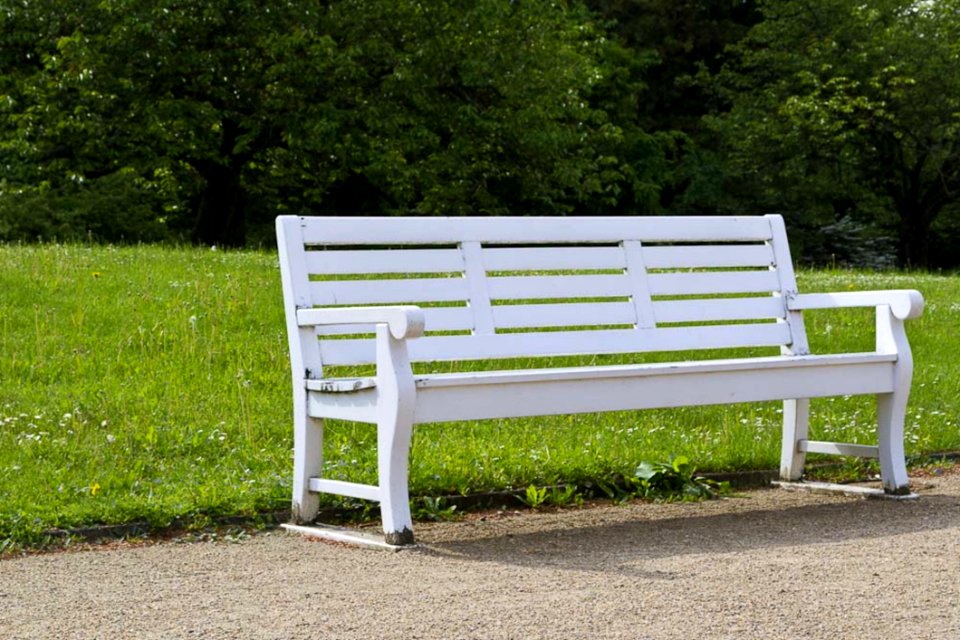 White Wooden Bench With Grassland In The Background