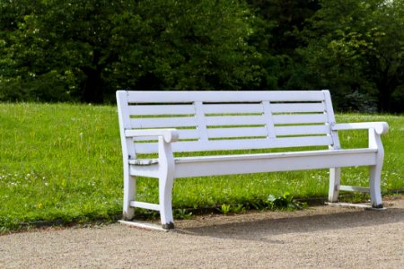 White Wooden Bench With Grassland In The Background photo
