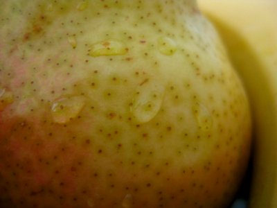 Water-drops-on-pear