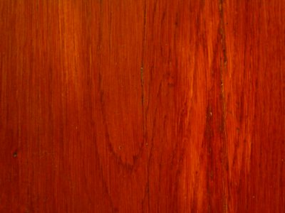 Varnished-wooden-door