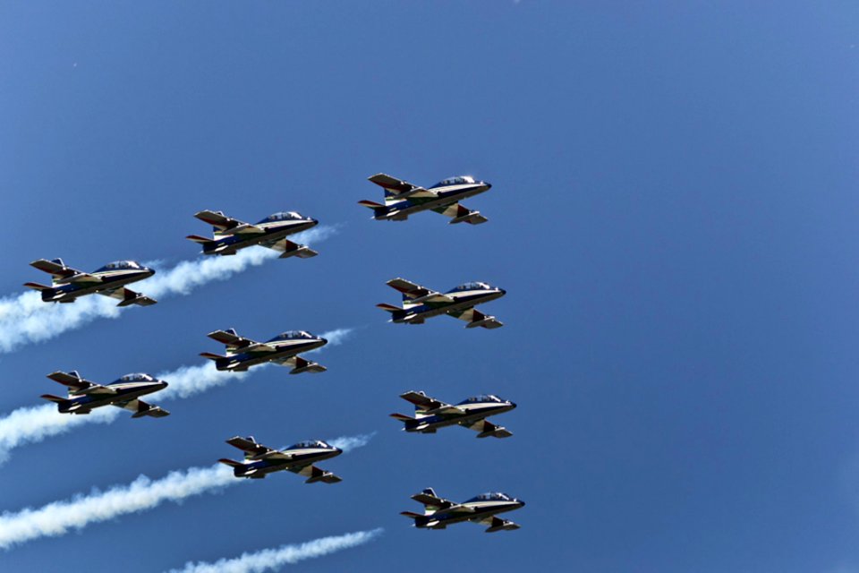 Wedge Flight Formation