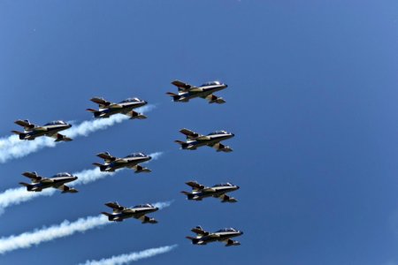 Wedge Flight Formation