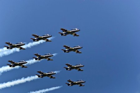 Wedge Flight Formation photo