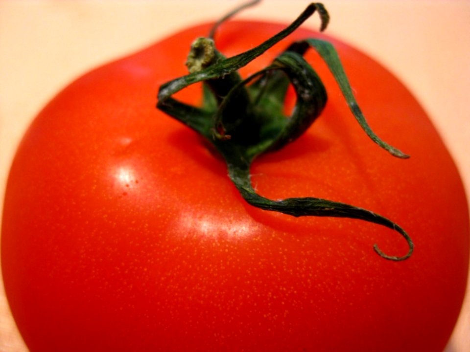 Tomato-close-up