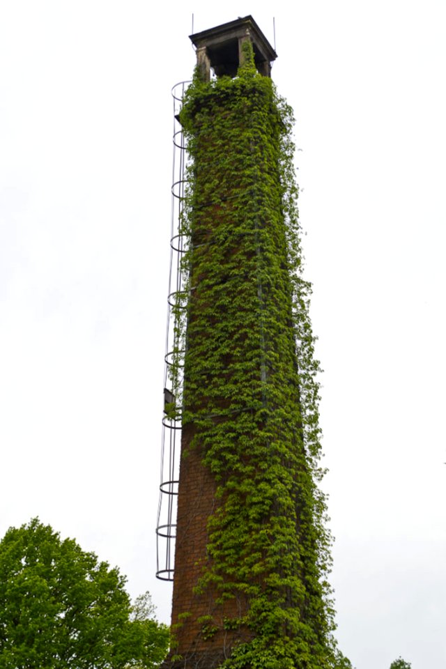 Vegetation Covered Chimney