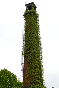 Vegetation Covered Chimney