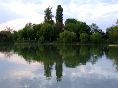 Trees-mirroring-in-the-lake
