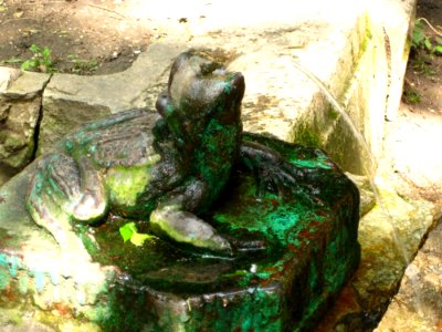 Stone-fountain-frog