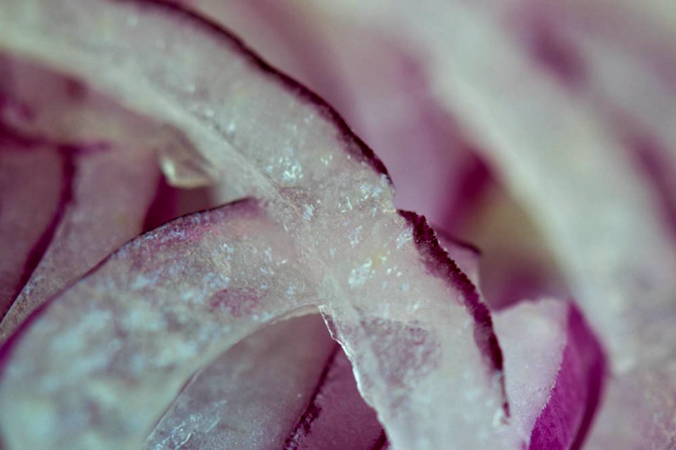 Slices Of Red Onion