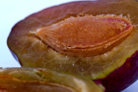 Split Plum