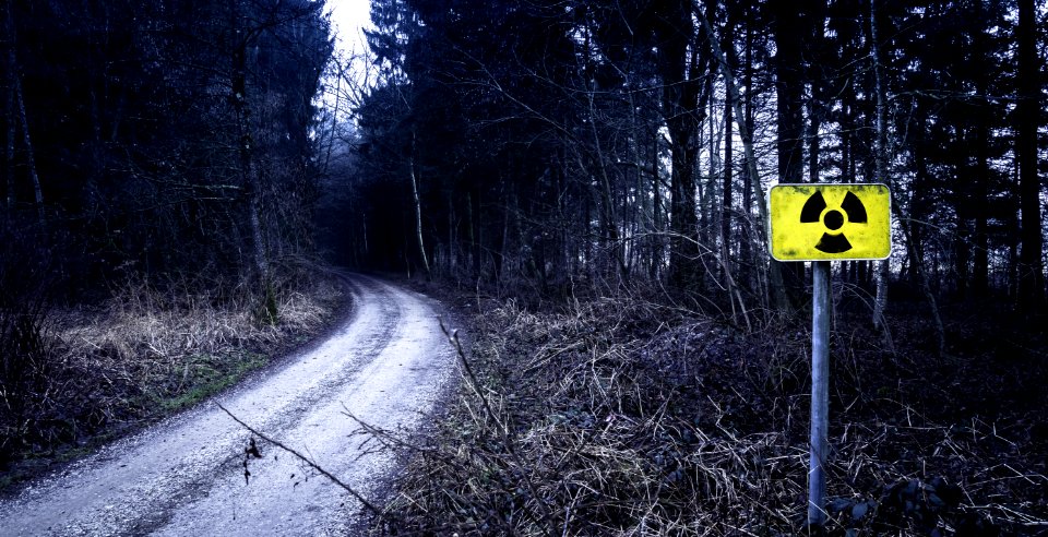 Radioactive Hazard Sign By Forest