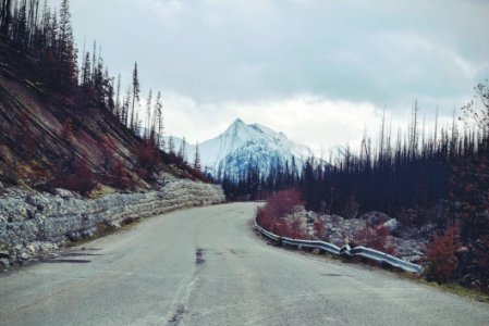 Road Through Forest In Mountains