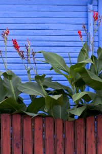 Contrasting Colors