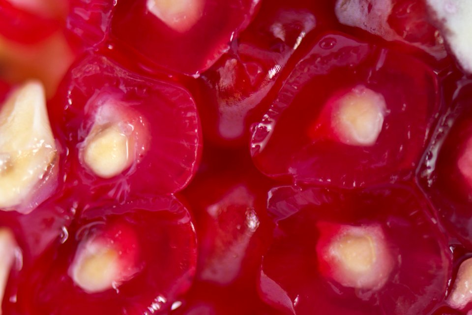Pomegranate Seeds Macro