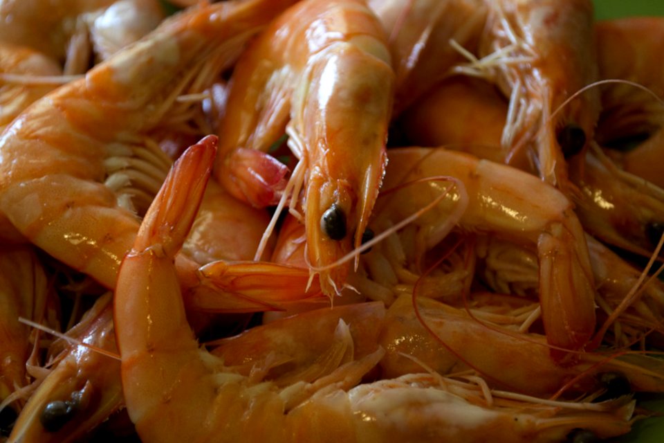 Shrimps Ready To Be Cooked