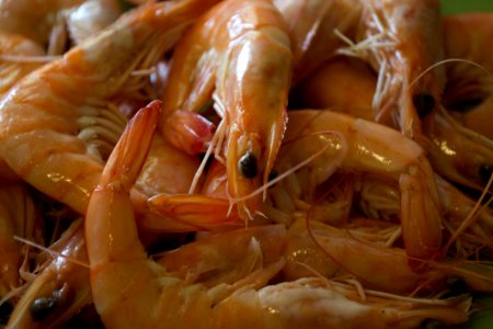 Shrimps Ready To Be Cooked photo