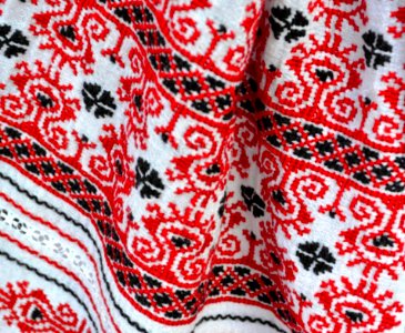 Red-black-and-white-hand-embroided-chemise photo