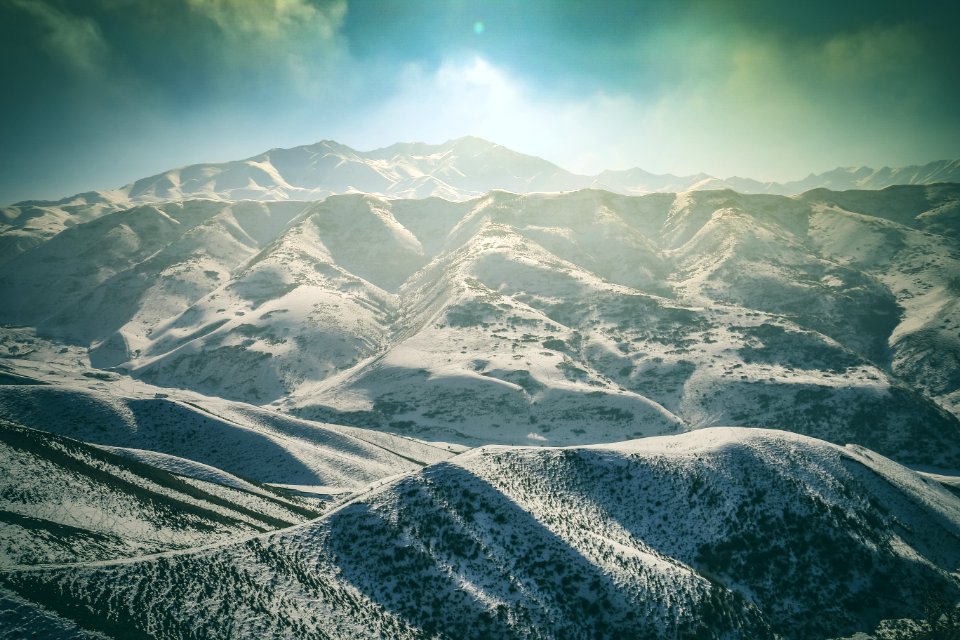 Frozen Forest And Mountains