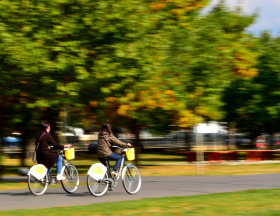 People-riding-bicycles-in-the-park