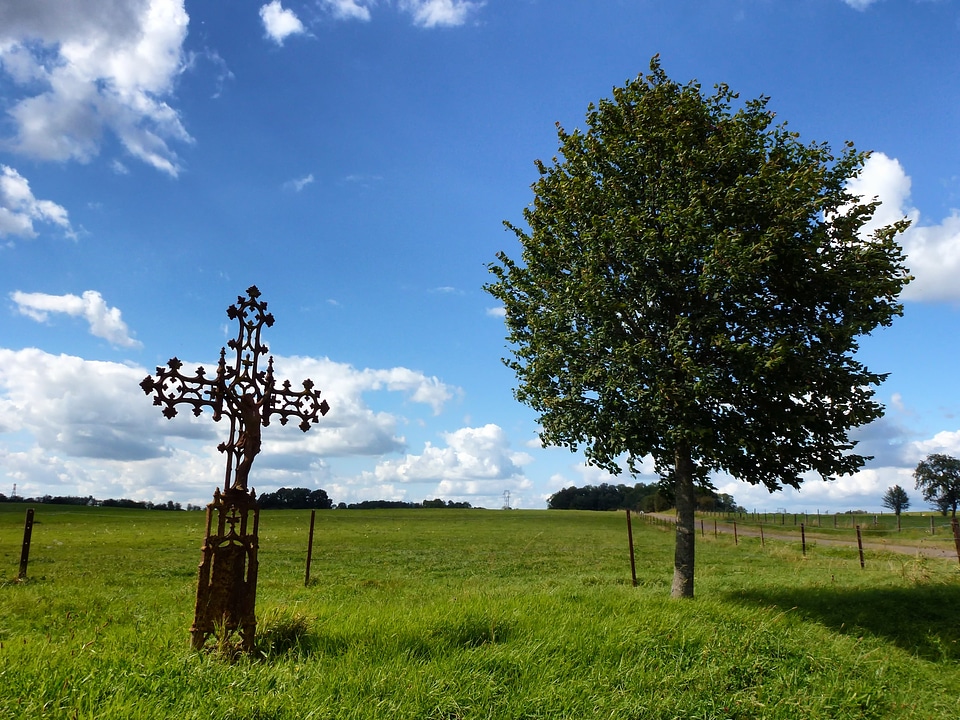Tree cross sculpture