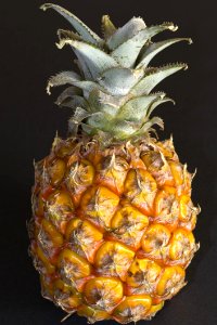 Miniature Pineapple Fruit