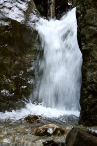 Forest Waterfall Blurred In Slow Motion Capture photo