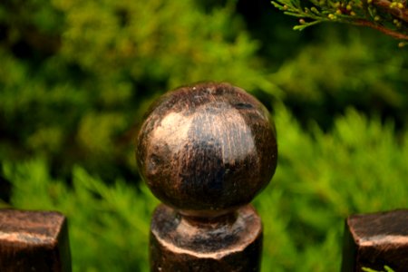 Metallic-knob-on-garden-fence