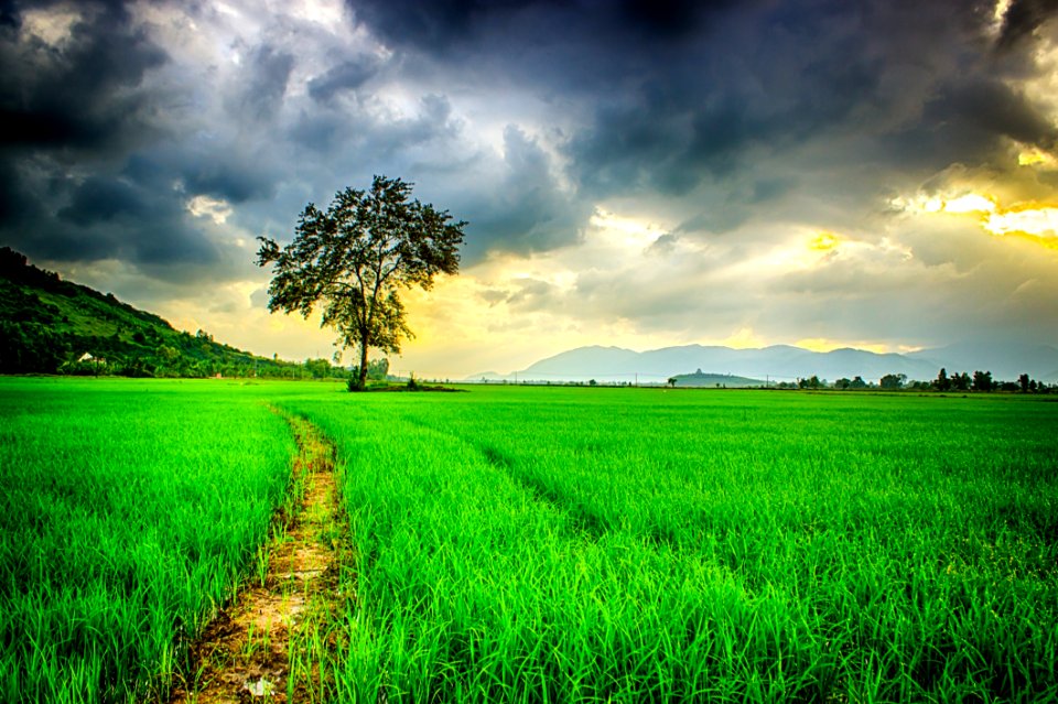 Clouds Over Fields