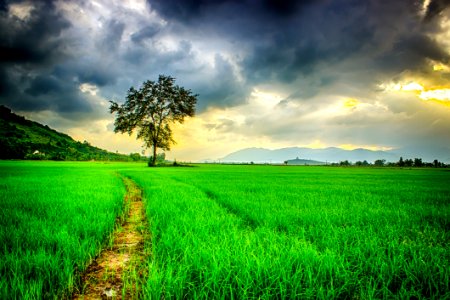 Clouds Over Fields photo