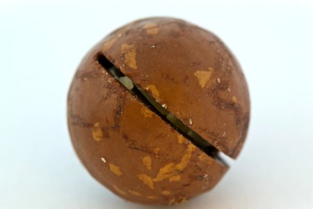Macadamia Nut photo