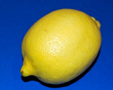 Lemon-isolated-on-blue