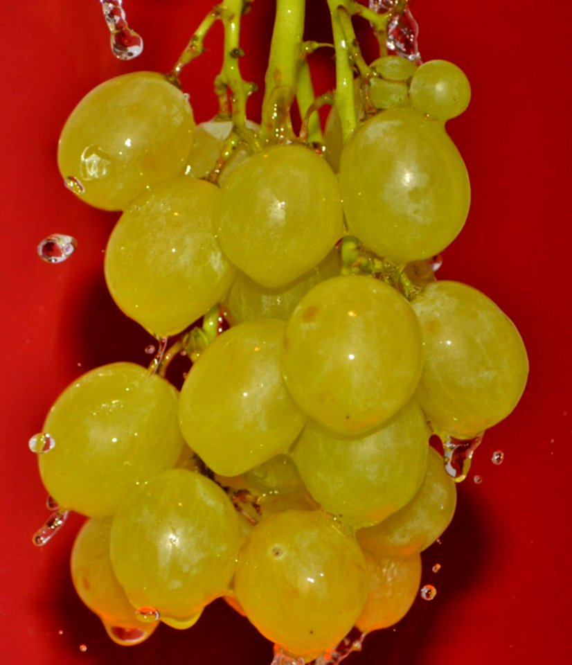 Grape-cluster-under-water-stream