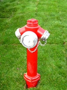 Fire-hydrant-on-lawn