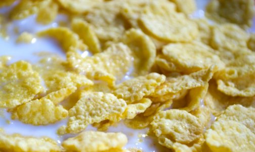 Corn-flakes-and-milk