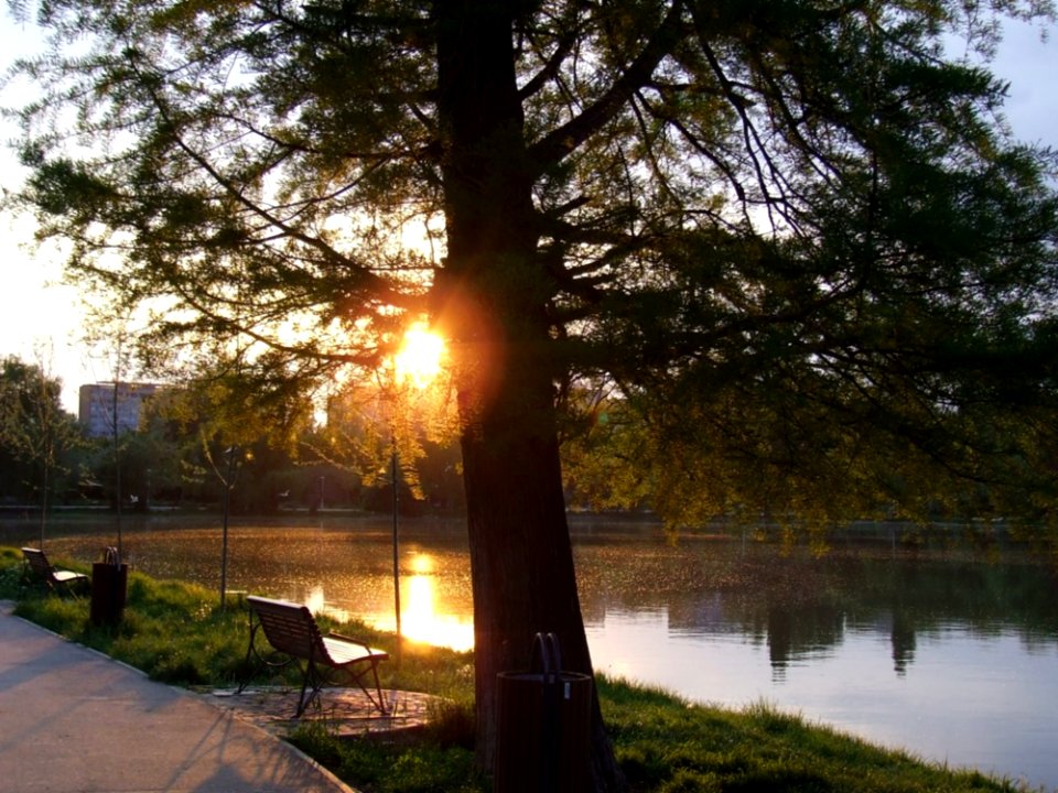 City-park-at-sunset