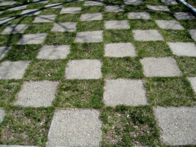 Checkered-flagging