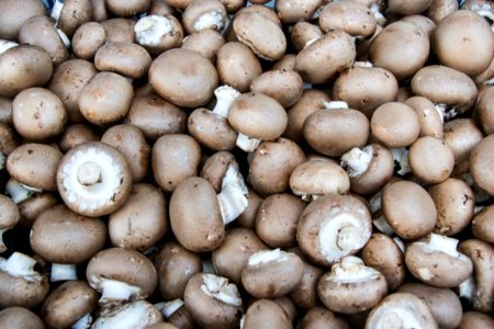 Button Mushrooms photo