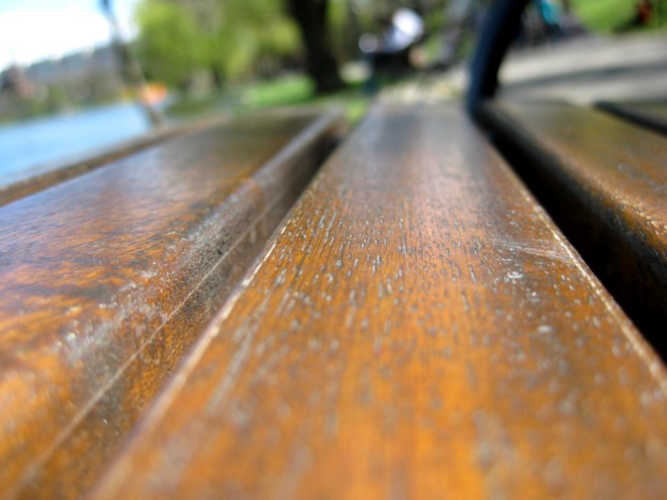 Bench-in-the-park