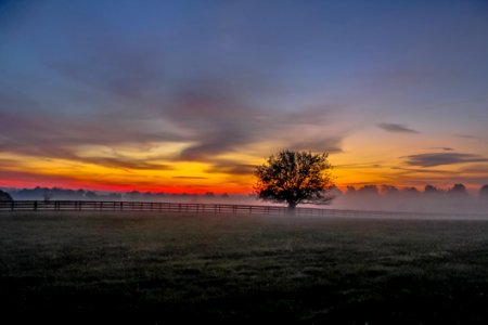 Meadow At Dawn photo