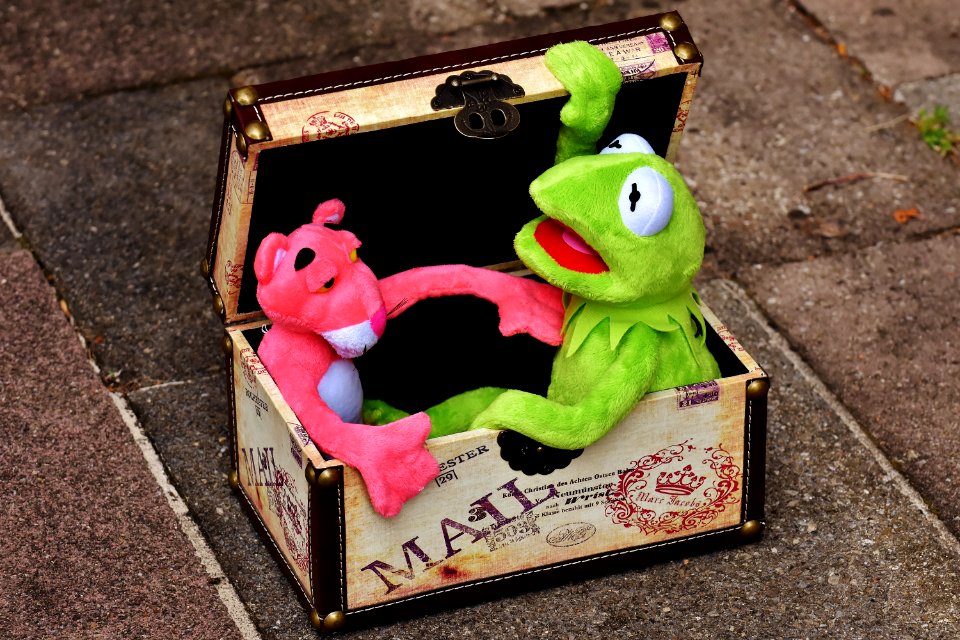 Pink Panther And Kermit The Frog